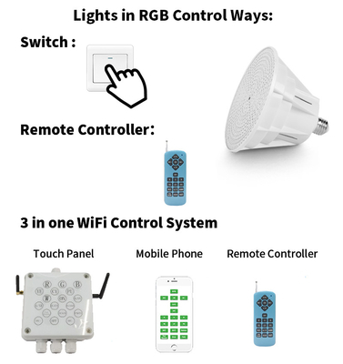 REFINED Dimmable Remote Control Appliance Switch Wireless AC12V for Pool Light