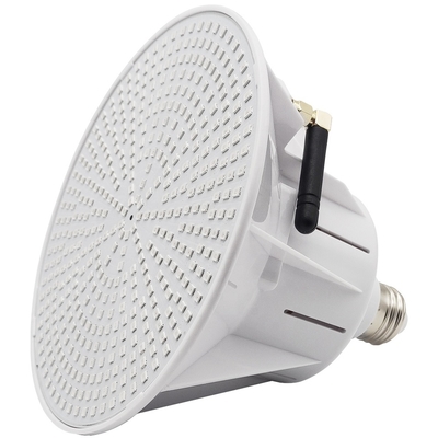 AC/DC 12V/24V IP68 LED Pool Lighting